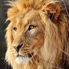 Profile Picture of Rica Whitfield (@@whitfield18) on Tiktok