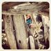 Profile Picture of Keith Knubbe (@keith.knubbe) on Facebook