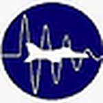 Profile Picture of Alexandre Camacho Coelho (@alexandre camacho coelho) on Flickr