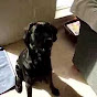 Profile Picture of Byron Poole (@@bpoolieo88) on Tiktok