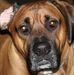 Profile Picture of Richard Shutt (@richard.shutt.568) on Facebook