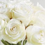 Profile Picture of Kristine Whitney-Wiley (@kwhitneywiley) on Instagram