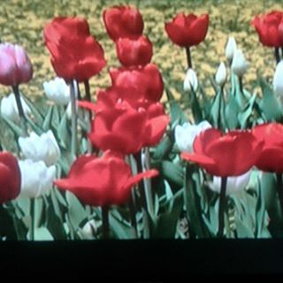 Fe van Volsen - Facebook Profile Picture of Fe van Volsen (@fe.vanvolsen) on Facebook