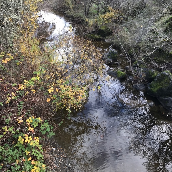 Profile Picture of Satchel Villanueva (@villans1111) on Poshmark