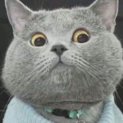 TaoLunYan - Twitter Profile Picture of TaoLunYan (@TaoLunYan) on Twitter