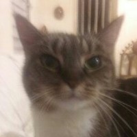 Profile Picture of Thomas Town (@thomas-town-3) on Quora