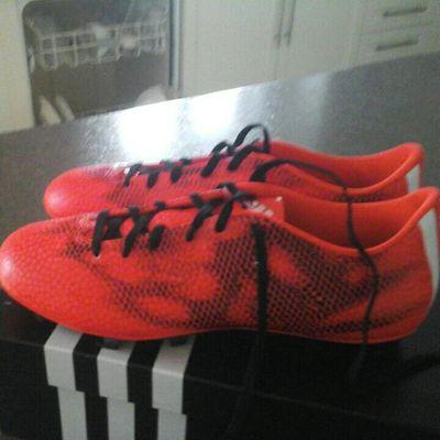 Profile Picture of Justin Simard (@justinb2ck) on Twitter