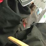 Profile Picture of ... (@audrey._robles) on Instagram