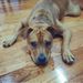 Profile Picture of Steven C. (@scrivera) on Pinterest
