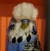Profile Picture of Rex Stephens (@rex.stephens.948) on Facebook