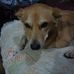 Profile Picture of Chuan Lu (@chuan.lu.37) on Facebook