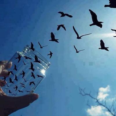 Profile Picture of Helin ADAM (@HelinDerik) on Twitter