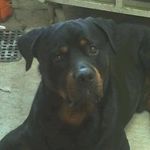 Profile Picture of Tammy Inder Geroux (@indergeroux) on Instagram