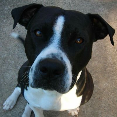 Jamie Howell - Twitter Profile Picture of Jamie Howell (@JaeDee2d) on Twitter