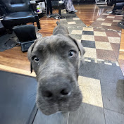 Profile Picture of Daniel DeLeon (@danieldeleon6745) on Youtube