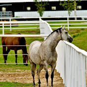 Profile Picture of Emmett Perkins (@emmettperkins5988) on Youtube