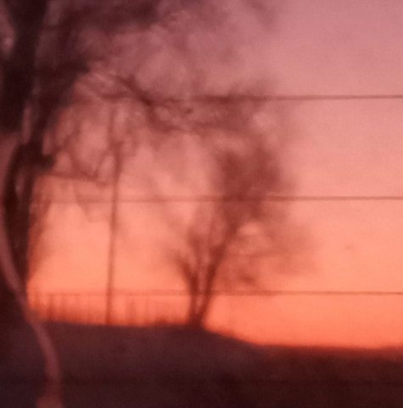 Profile Picture of Grace Riggs (@graceriggs0814) on Poshmark