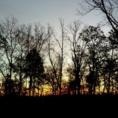 Profile Picture of James Elswick (@DEERBLAZER) on Twitter