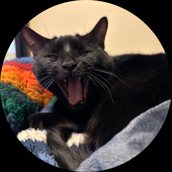 Profile Picture of Jodi Chuang (@jlchuang) on Poshmark