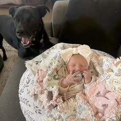 Profile Picture of Lisa Scripter (@lisascripter4) on Tiktok