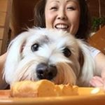 Profile Picture of Akiko Tsukada Mackens (@akikomackens) on Instagram