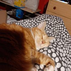 Profile Picture of James Mendez (@mendez7040) on Tiktok