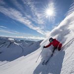 Profile Picture of Derek Faith (@suniceceo) on Instagram