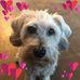 Profile Picture of Jasmine Gaudet (@jasmine.gaudet.3) on Facebook