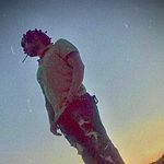 Profile Picture of Steven Fortner (@itz_twix12) on Instagram