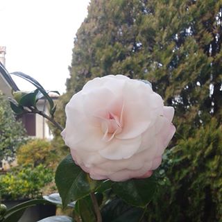 Profile Picture of Paolo Corsetti (@paolo.corsetti.52) on Facebook