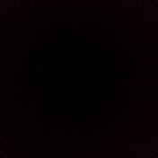 Profile Picture of Joseph Richardson (@rpejoblo3374) on Youtube