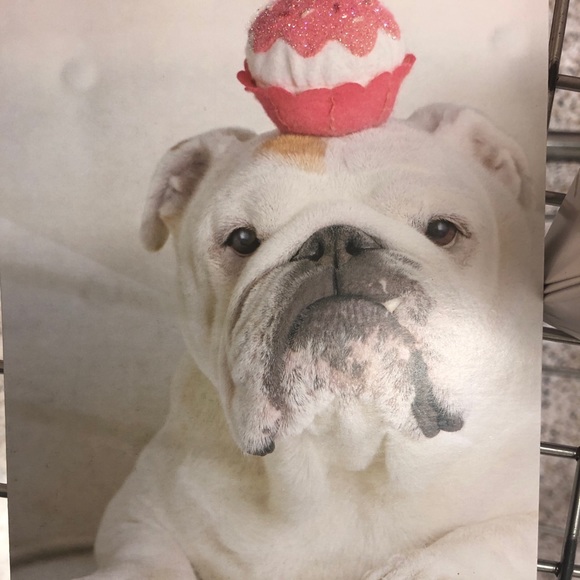 Profile Picture of Tiffany Gouwens (@tiffanygouwens) on Poshmark