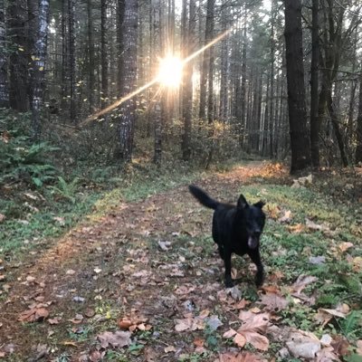 Profile Picture of Jeffery J Plummer (@JefferyJPlumme1) on Twitter