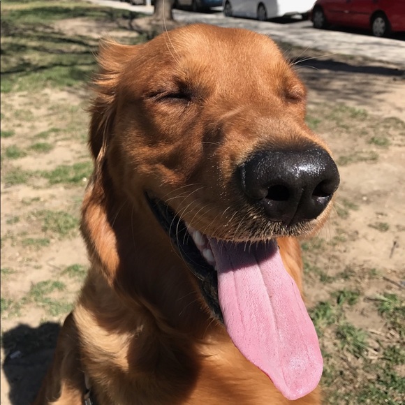 Profile Picture of Thomas Meyer (@meyerth) on Poshmark