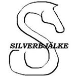 Profile Picture of Joseph N Silverbjälke (@josephsilverbjalke) on Instagram