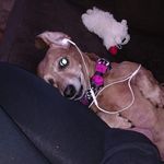 Grant Hollenbach - Instagram Profile Picture of Grant Hollenbach (@ghollenbach) on Instagram