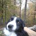 Profile Picture of Darrell Dillman (@darrell.dillman.7) on Facebook