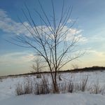 Profile Picture of Robert Lisiecki (@lisiecki.robert) on Instagram