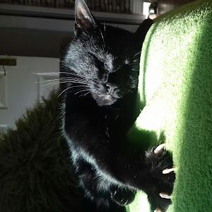 Profile Picture of davidgarlik (@davidgarlik) on Tiktok