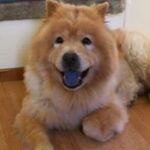 Profile Picture of Debra Bennett (@debra3461) on Instagram