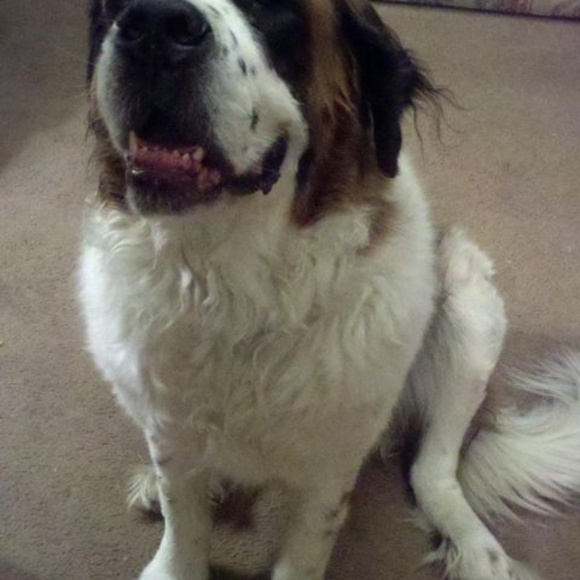 Profile Picture of Linda Moeller (@linnybowling) on Poshmark