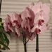 Profile Picture of Hildegard Brett (@hildegard.brett.14) on Facebook