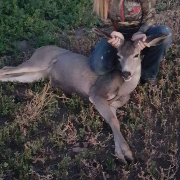 Whitney Maag - Poshmark Profile Picture of Whitney Maag (@whitneymaag12) on Poshmark