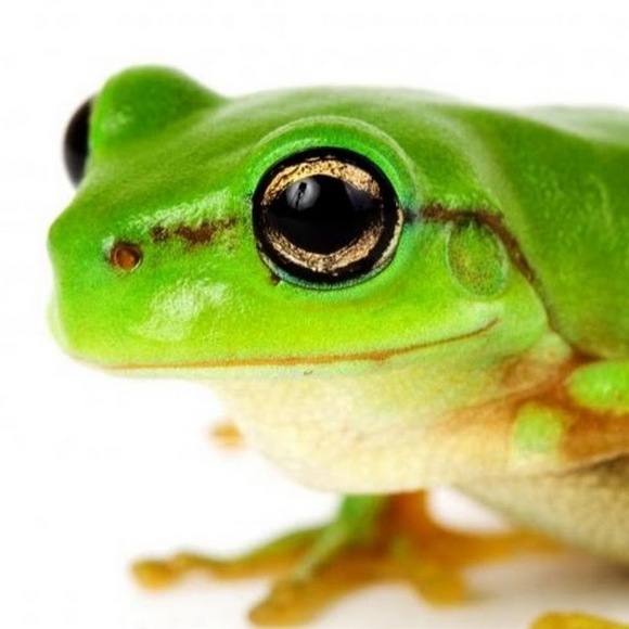 Profile Picture of Lara Sullivan (@larasullivan) on Poshmark