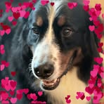 Profile Picture of Jody Hagler (@jody.hagler) on Facebook