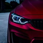 Profile Picture of vincent wilhelm (@vincentwilhelm.hxxjz) on Instagram