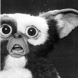 Profile Picture of Bryant Pineda (@0celot1) on Twitter