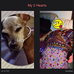 Profile Picture of dawn Suarez (@lusciouslywicked) on Flickr