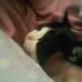 Profile Picture of Nicholas Dayes (@nicholas.dayes) on Facebook