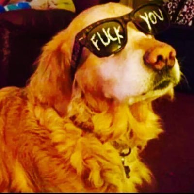 Profile Picture of Jared$_$kapp (@kapp_lee) on Twitter